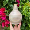 purple yellow bud vase