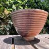 orange soda side bowl