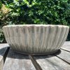 celadon blate