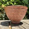 orange side bowl