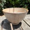 shino speckle side bowl