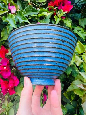 blue speckle side bowl