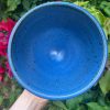 blue speckle side bowl