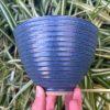 blue side bowl