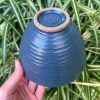 blue side bowl