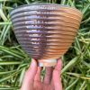 orange soda side bowl