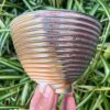 orange soda side bowl