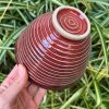 red side bowl