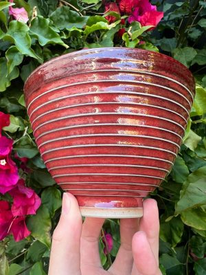 red side bowl