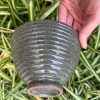 celadon speckle side bowl