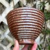 orange side bowl