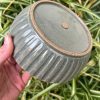 celadon blate