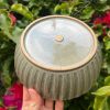 celadon blate