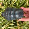 blue stripe bud vase