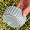 blue celadon blate