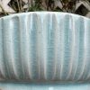 blue celadon blate