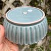 blue celadon blate