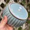 blue celadon blate