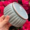 blue celadon blate