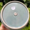 blue celadon blate