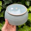 blue celadon blate